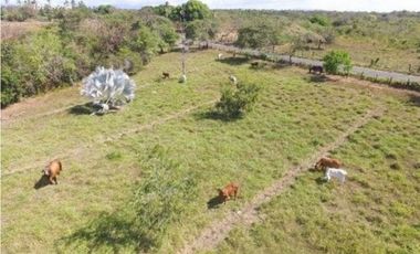 SE VENDE O ALQUILA FINCA EN LAS UVAS- SAN CARLOS
