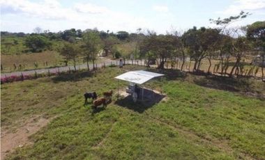 SE VENDE O ALQUILA FINCA EN LAS UVAS- SAN CARLOS