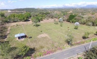 SE VENDE O ALQUILA FINCA EN LAS UVAS- SAN CARLOS