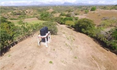 SE VENDE O ALQUILA FINCA EN LAS UVAS- SAN CARLOS