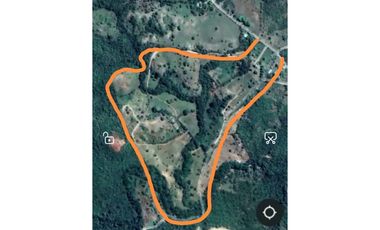 SE VENDE O ALQUILA FINCA EN LAS UVAS- SAN CARLOS