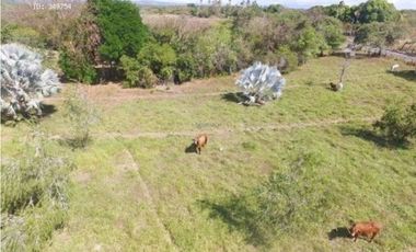 SE VENDE O ALQUILA FINCA EN LAS UVAS- SAN CARLOS