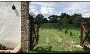 SE VENDE O ALQUILA FINCA EN LAS UVAS- SAN CARLOS