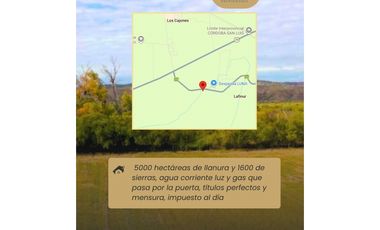 CAMPO EN LAFINUR 6.600 H. EN SAN LUIS CON FINANCIAMIENTO