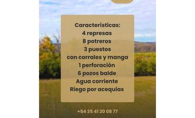CAMPO EN LAFINUR 6.600 H. EN SAN LUIS CON FINANCIAMIENTO