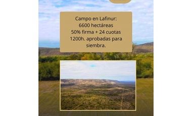CAMPO EN LAFINUR 6.600 H. EN SAN LUIS CON FINANCIAMIENTO