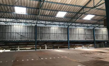 Warehouse for sale in Wang Phai, Chumphon