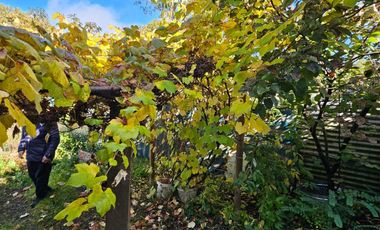 Casa en venta  en VILCÚN