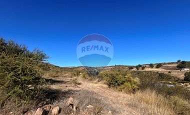 Rebajado parcela