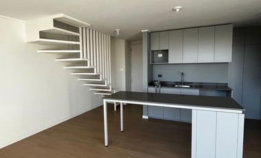 Departamento dúplex 2d, 3b Providencia