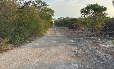 Lotes en venta en DZILDZILCHE al norte de MÉRIDA