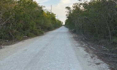 Lotes en venta en DZILDZILCHE al norte de MÉRIDA