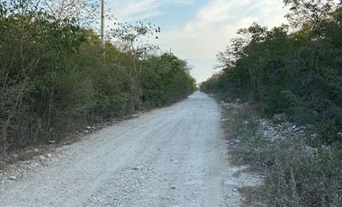 Lotes en venta en DZILDZILCHE al norte de MÉRIDA