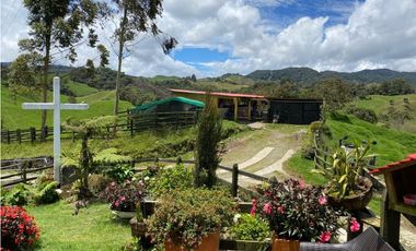 FINCA PRODUCTIVA EN VENTA EN LA UNIÓN – ANTIOQUIA 27 HA