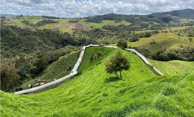 FINCA PRODUCTIVA EN VENTA EN LA UNIÓN – ANTIOQUIA 27 HA