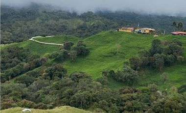 FINCA PRODUCTIVA EN VENTA EN LA UNIÓN – ANTIOQUIA 27 HA