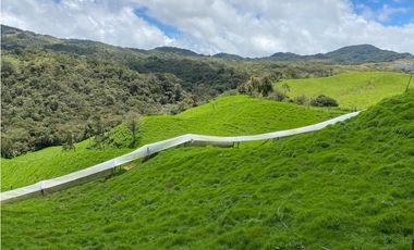 FINCA PRODUCTIVA EN VENTA EN LA UNIÓN – ANTIOQUIA 27 HA