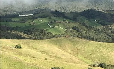 FINCA PRODUCTIVA EN VENTA EN LA UNIÓN – ANTIOQUIA 27 HA