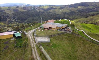 FINCA PRODUCTIVA EN VENTA EN LA UNIÓN – ANTIOQUIA 27 HA