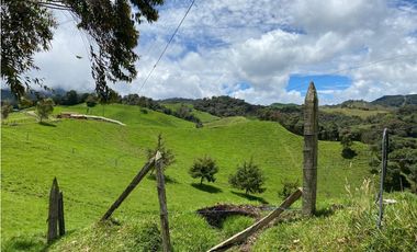 FINCA PRODUCTIVA EN VENTA EN LA UNIÓN – ANTIOQUIA 27 HA