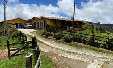 FINCA PRODUCTIVA EN VENTA EN LA UNIÓN – ANTIOQUIA 27 HA