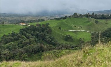 FINCA PRODUCTIVA EN VENTA EN LA UNIÓN – ANTIOQUIA 27 HA
