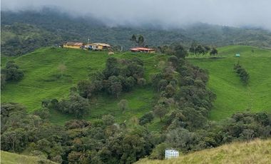 FINCA PRODUCTIVA EN VENTA EN LA UNIÓN – ANTIOQUIA 27 HA