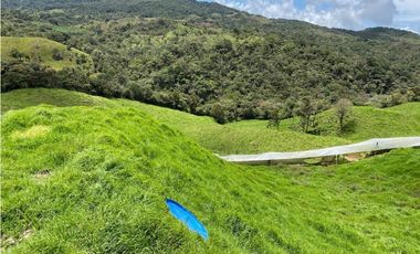 FINCA PRODUCTIVA EN VENTA EN LA UNIÓN – ANTIOQUIA 27 HA