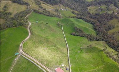 FINCA PRODUCTIVA EN VENTA EN LA UNIÓN – ANTIOQUIA 27 HA