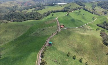FINCA PRODUCTIVA EN VENTA EN LA UNIÓN – ANTIOQUIA 27 HA