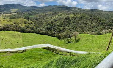 FINCA PRODUCTIVA EN VENTA EN LA UNIÓN – ANTIOQUIA 27 HA