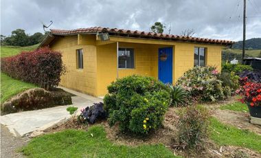 FINCA PRODUCTIVA EN VENTA EN LA UNIÓN – ANTIOQUIA 27 HA