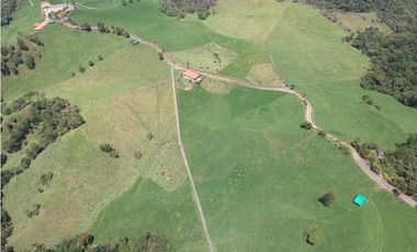 FINCA PRODUCTIVA EN VENTA EN LA UNIÓN – ANTIOQUIA 27 HA