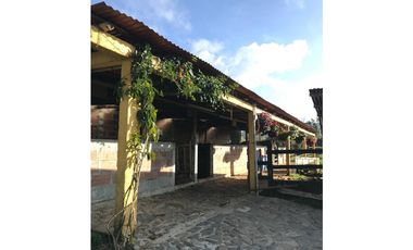 FINCA PRODUCTIVA EN VENTA EN LA UNIÓN – ANTIOQUIA 27 HA
