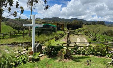 FINCA PRODUCTIVA EN VENTA EN LA UNIÓN – ANTIOQUIA 27 HA