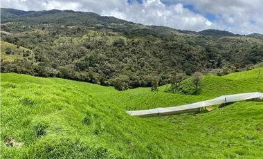 FINCA PRODUCTIVA EN VENTA EN LA UNIÓN – ANTIOQUIA 27 HA