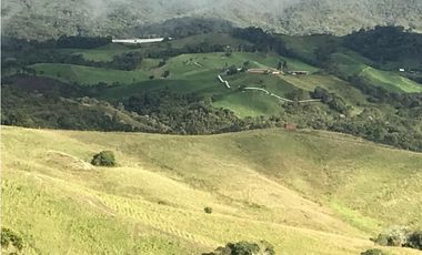 FINCA PRODUCTIVA EN VENTA EN LA UNIÓN – ANTIOQUIA 27 HA