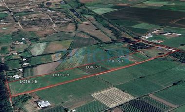 Parcela en venta  en LINARES