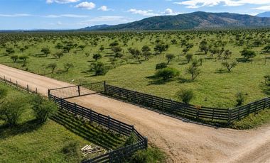 Parcela en Venta en SAN JAVIER