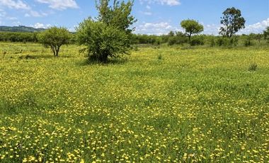 Parcela en Venta en SAN JAVIER