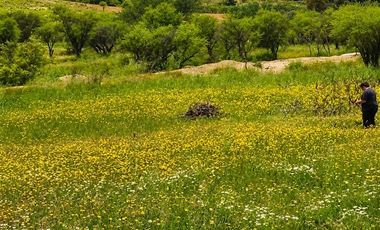 Parcela en Venta en SAN JAVIER