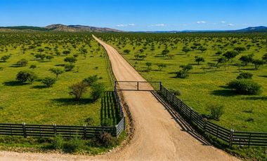 Parcela en Venta en SAN JAVIER