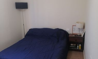 LOS BOLDOS