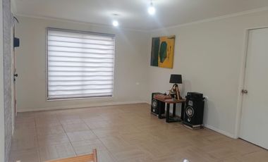 LOS BOLDOS