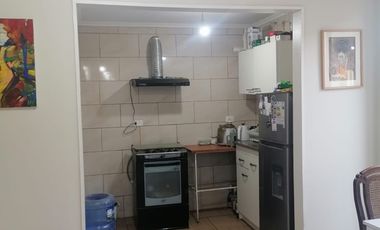 LOS BOLDOS