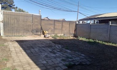 LOS BOLDOS
