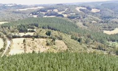 TROVOLHUE
