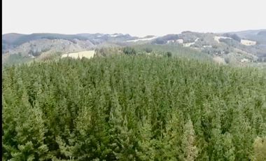 TROVOLHUE