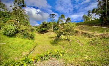 VENTA ESPECTACULAR LOTE EN PARCELACIÓN GUARNE