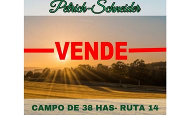 Se venden 38 has a 200 metros de ruta 14